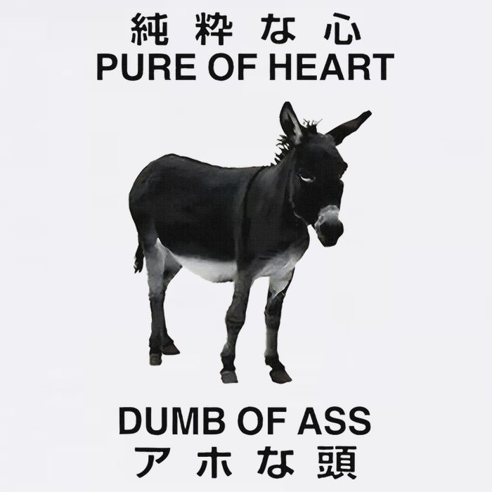Donkey Pure Of Heart Dumb Of Ass Japanese Cool Comfort Performance Bucket Hat