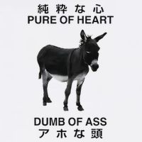 Donkey Pure Of Heart Dumb Of Ass Japanese Flat Bill Trucker Hat