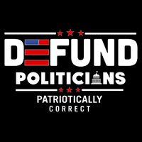 Defund Politicians Patriotically Correct Kids T-Shirt