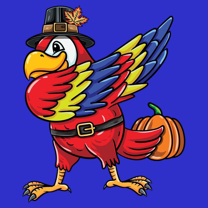 Dabbing Pilgrim Parrot Thanksgiving Bird Meaningful Gift T-Shirt