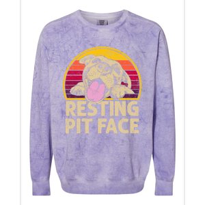 Dog Pitbull Resting Pit Face Funny Gift For Pitbull Lovers Gift Colorblast Crewneck Sweatshirt