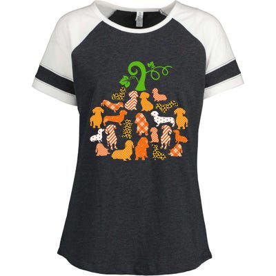 Dachshund Pumpkin Shape Plaid Leopard Dog Autumn Halloween Enza Ladies Jersey Colorblock Tee