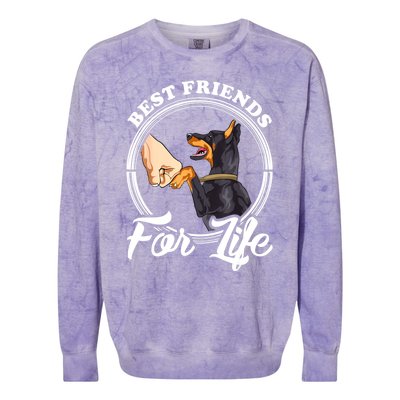 Doberman Pinscher Shirt Funny Doberman Lover Colorblast Crewneck Sweatshirt