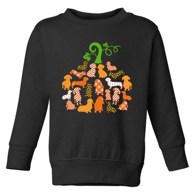 Dachshund Pumpkin Shape Plaid Leopard Dog Autumn Halloween Toddler Sweatshirt