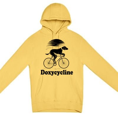 Doxycycline Pharmacist School Pharma Gift Premium Pullover Hoodie