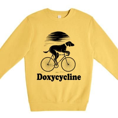 Doxycycline Pharmacist School Pharma Gift Premium Crewneck Sweatshirt