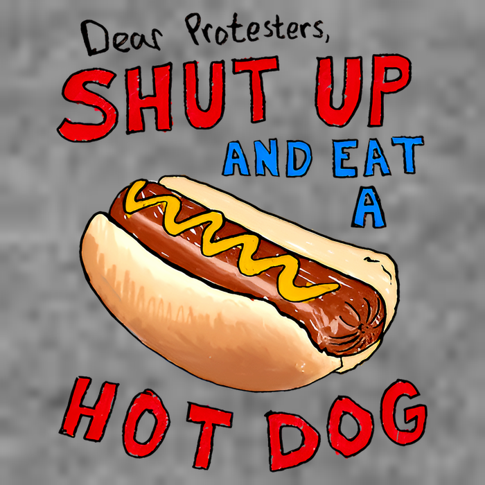 Dear Protesters Shut Up And Eat A Hot Dog Funny 4th Of July Sustainable Beanie