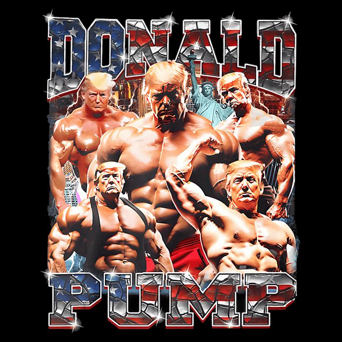 Donald Pump Trump 2024 Weight Lifting Gym Fitness T-Shirt