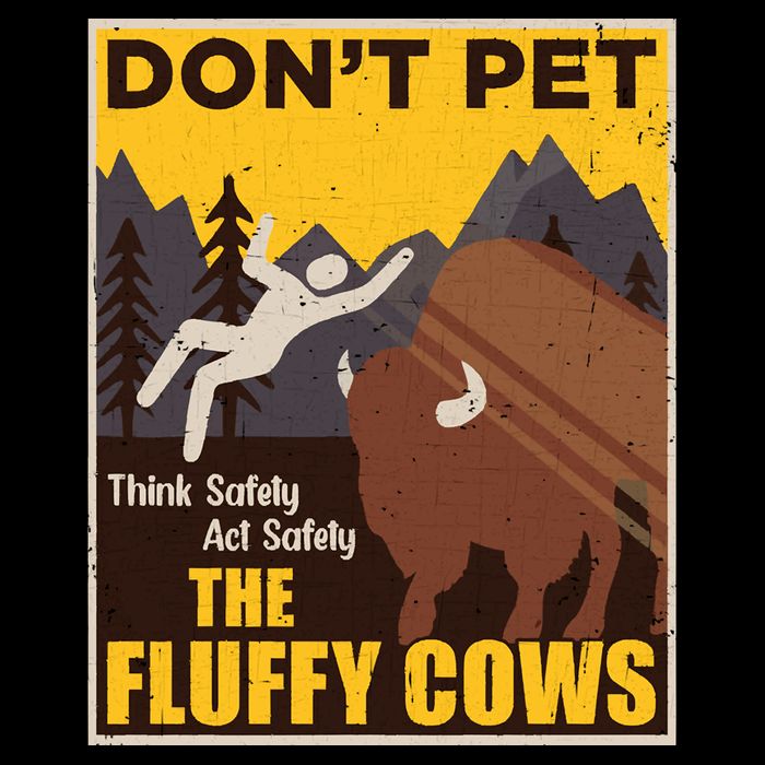 Don't Pet The Fluffy Cows Bison Buffalo Wool Snapback Cap