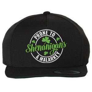 Distressed Prone To Shenanigans And Malarkey St Patricks Day Funny Gift Wool Snapback Cap