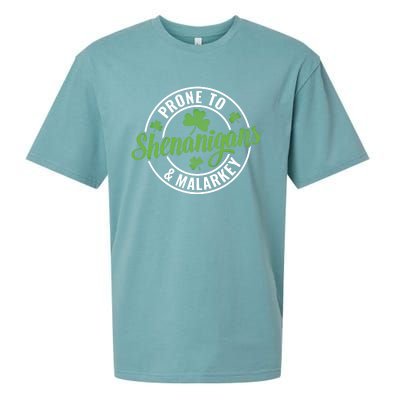 Distressed Prone To Shenanigans And Malarkey St Patricks Day Funny Gift Sueded Cloud Jersey T-Shirt