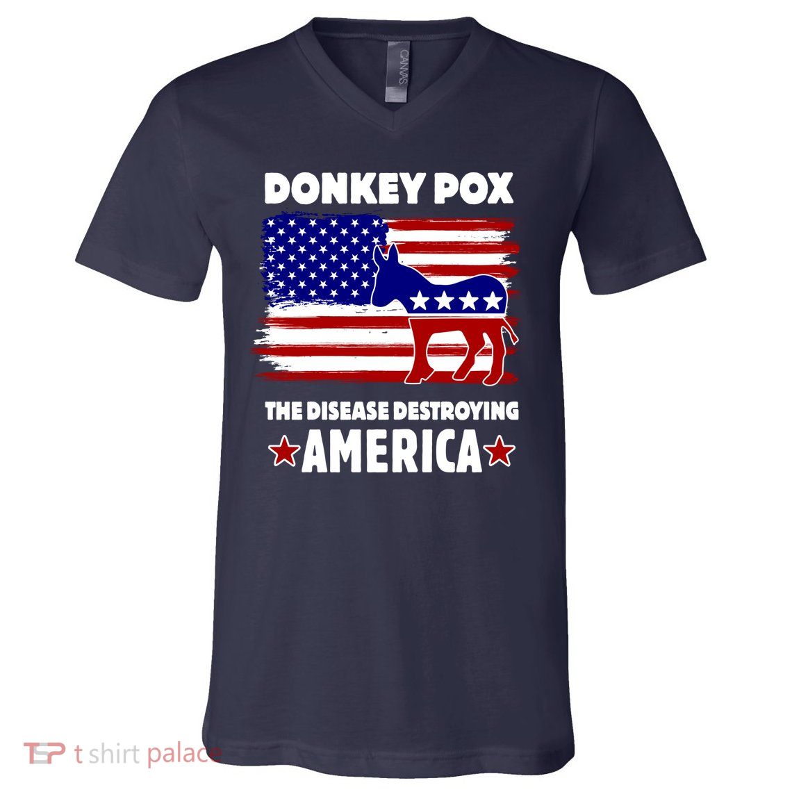 Donkey Pox The Real Problem Destroying America USA Funny V-Neck T-Shirt