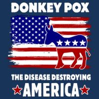 Donkey Pox The Real Problem Destroying America USA Funny 7-Panel Snapback Hat