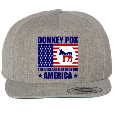 Donkey Pox The Disease Destroying America Vintage USA Funny Wool Snapback Cap