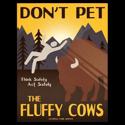 Dont Pet The Fluffy Cows T-Shirt