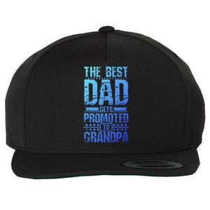 Dad Promoted To Grandpa With Dad Grandpa Funny Gift Wool Snapback Cap