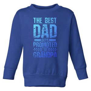 Dad Promoted To Grandpa With Dad Grandpa Funny Gift Toddler Sweatshirt