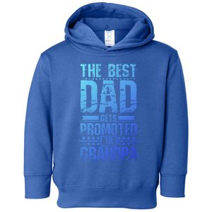 Dad Promoted To Grandpa With Dad Grandpa Funny Gift Toddler Hoodie