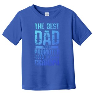 Dad Promoted To Grandpa With Dad Grandpa Funny Gift Toddler T-Shirt