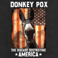 Donkey Pox The Disease Destroying America Donkeypox Funny 7 Panel Mesh Trucker Snapback Hat