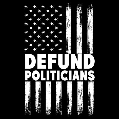 Defund Politicians USA Flag T-Shirt