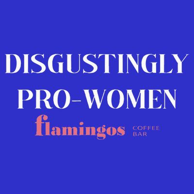 Disgustingly Pro Women T-Shirt
