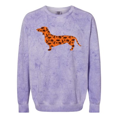 Dachshund Pumpkin Witch Bat Funny Spooky Halloween Colorblast Crewneck Sweatshirt