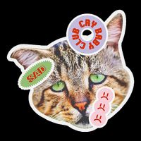 Drama Queen Sad Cat Funny & Ugly Cute Mug