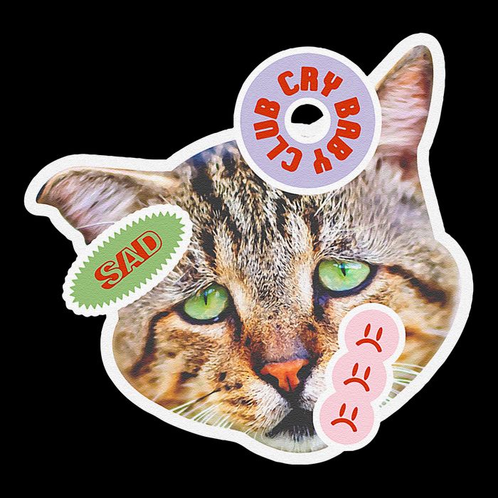 Drama Queen Sad Cat Funny & Ugly Cute Mug