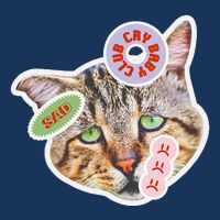 Drama Queen Sad Cat Funny & Ugly Cute Full Zip Hoodie