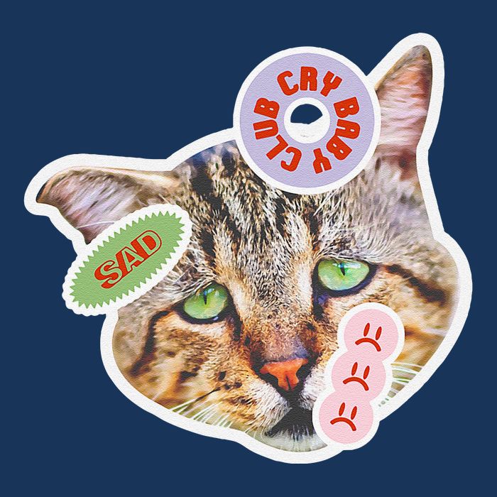 Drama Queen Sad Cat Funny & Ugly Cute Full Zip Hoodie