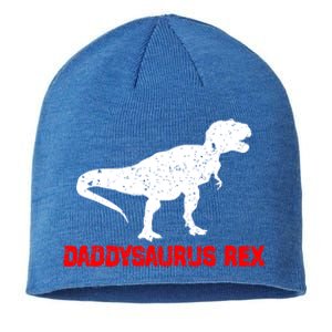 Daddysaurus Rex 2 Sunset Funny For Fathers Day Gift Sustainable Beanie