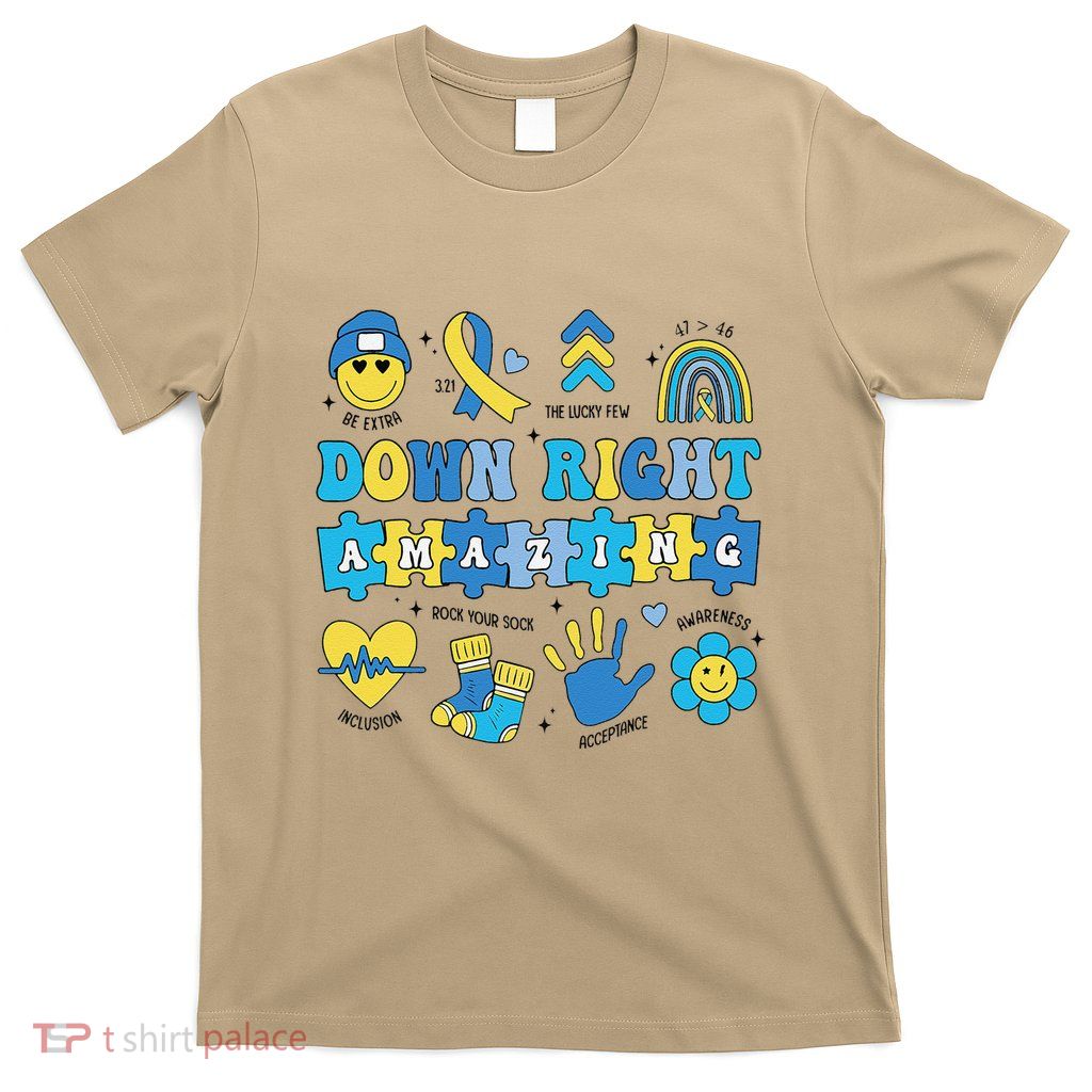 Down Right Amazing Special Education Teacher Sped Teacher T-Shirt