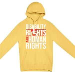 Disability Rights Are Human Rights Gift Funny Wheelchair Handicap Gift Premium Pullover Hoodie