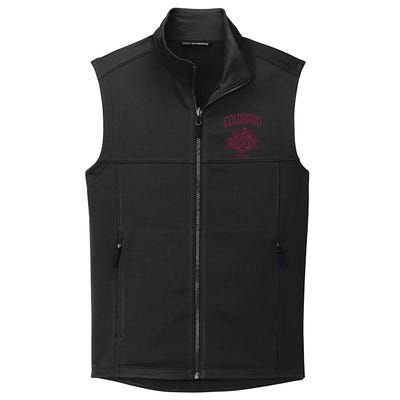 Distressed Retro Avalanche Party Tailgate Gameday Fan Gift Collective Smooth Fleece Vest