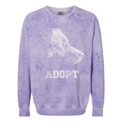 Dog Rescue And Adopt Colorblast Crewneck Sweatshirt