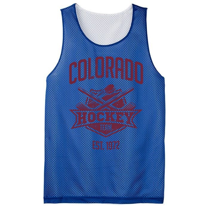 Distressed Retro Avalanche Party Tailgate Gameday Fan Gift Mesh Reversible Basketball Jersey Tank