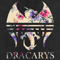Dracarys Dragonfire Adult Drive Performance Visor
