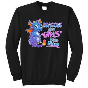 Dragons Are A Girl's Best Friend Cute Baby Dragon Sweatshirt