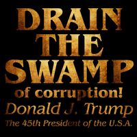 Drain The Swamp of Corruption! Donald Trump 45th President Mug
