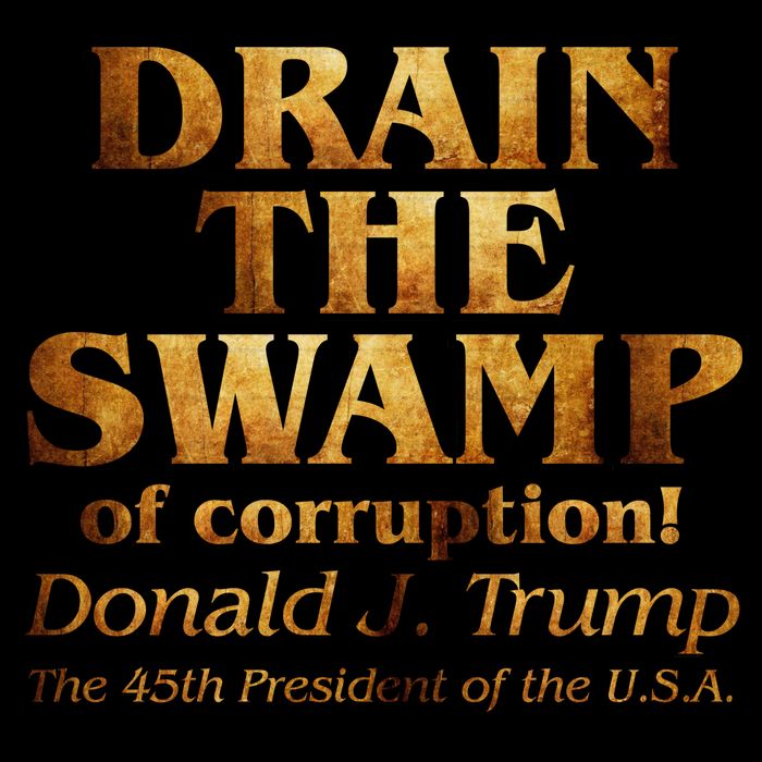 Drain The Swamp of Corruption! Donald Trump 45th President Mug