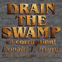 Drain The Swamp of Corruption! Donald Trump 45th President Womens T-Shirt
