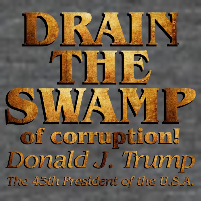 Drain The Swamp of Corruption! Donald Trump 45th President Womens T-Shirt