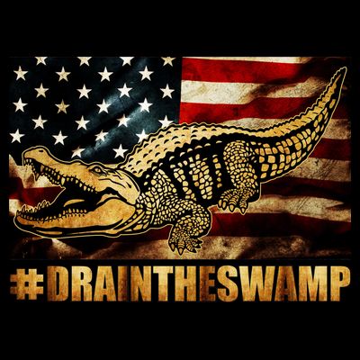 Drain The Swamp Washington DC Donald Trump President T-Shirt