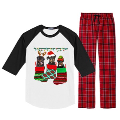 Dog Rottweiler Christmas Socks Funny Xmas Pajama Pet Puppy Great Gift Raglan Sleeve Pajama Set