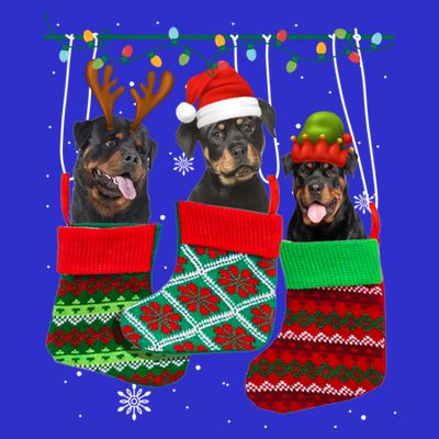 Dog Rottweiler Christmas Socks Funny Xmas Pajama Pet Puppy Great Gift T-Shirt