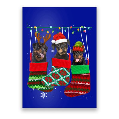 Dog Rottweiler Christmas Socks Funny Xmas Pajama Pet Puppy Great Gift Poster