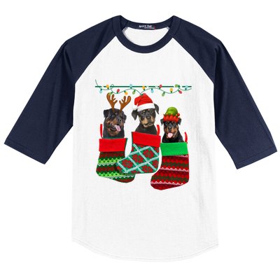 Dog Rottweiler Christmas Socks Funny Xmas Pajama Pet Puppy Great Gift Baseball Sleeve Shirt