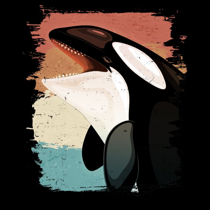 Distressed Retro Colors Orca Killer Whale 16 in Basic Backpack