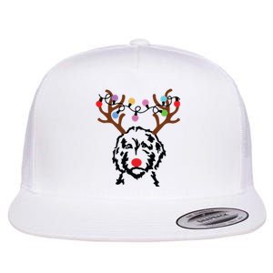 Doodle Reindeer Christmas Lights Funny Doodle Lover Xmas Flat Bill Trucker Hat